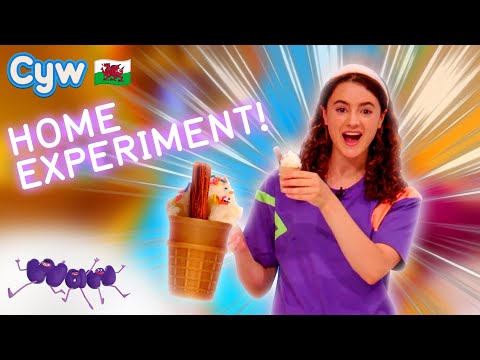 Waw! Y Synhwyrau - Arbrawf Adref 🏠 Home Experiment | Welsh Science for Kids 🏴󠁧󠁢󠁷󠁬󠁳󠁿