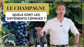 Quel est le cépage manquant qui compose le champagne le chardonnay le pinot meunier et ?