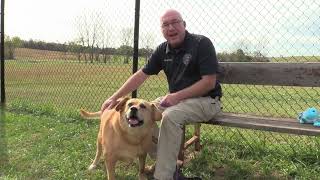 Wilson County Animal Control - Gertie
