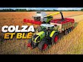 MOISSON COLZA ET DÉBUT BLÉ 2023 image