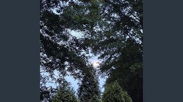 What the frustration?!