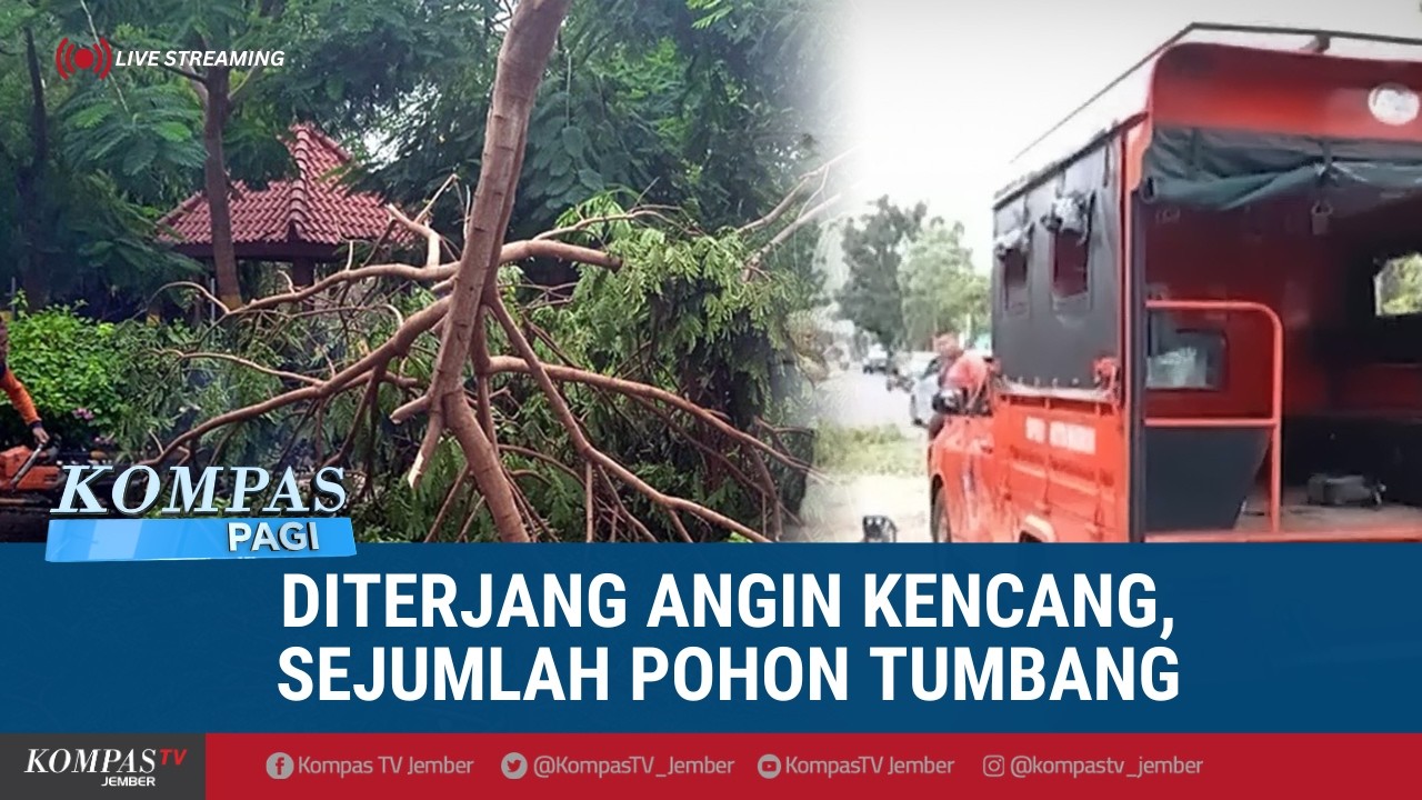 Angin Kencang Terjang Madiun, Sejumlah Pohon Tumbang di Beberapa Titik | KOMPAS PAGI