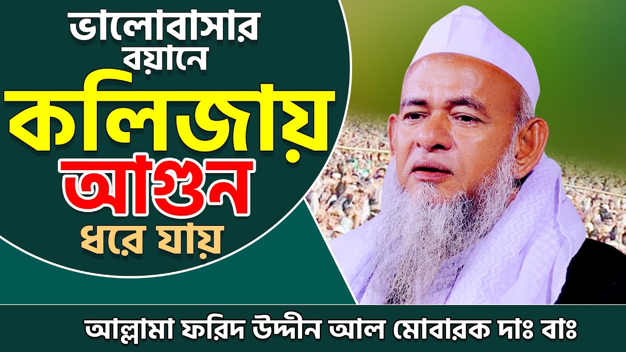 ভালোবাসার বয়ানে কলিজায় আগুন ধরে যায় | ফরিদ উদ্দিন আল মোবারক | al jamee আল জামে