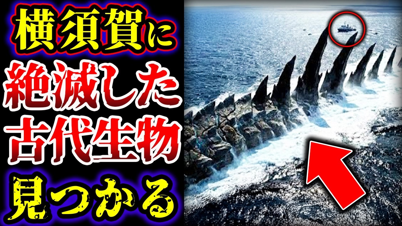 Slow-Paced Explanation] A Giant 3-meter-long Marine Creature