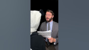 PANDAS ARE COMING BACK TO DC 🐼