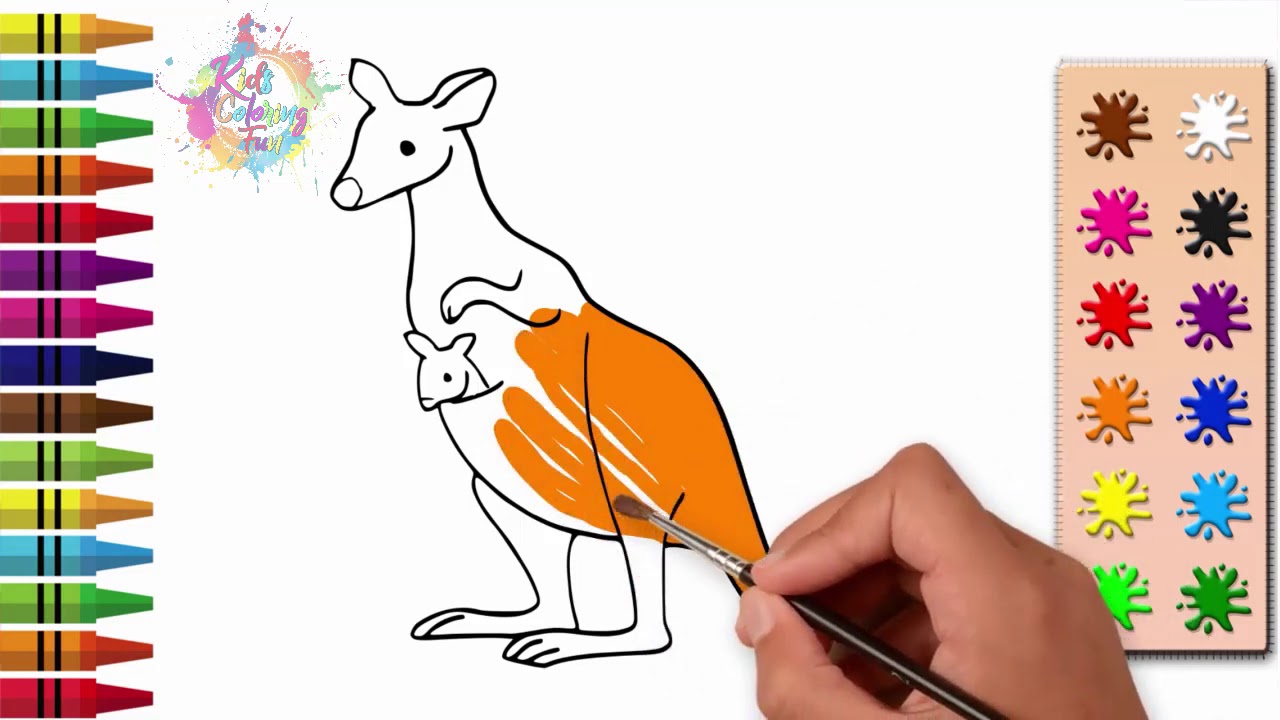 Kangaroo Coloring Video - How To Draw A Kangaroo For Kids - Kangaroo ...