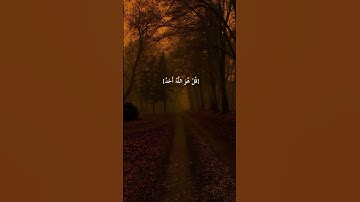 #قران_كريم سورة الإخلاص  #فرآن #اكسبلور