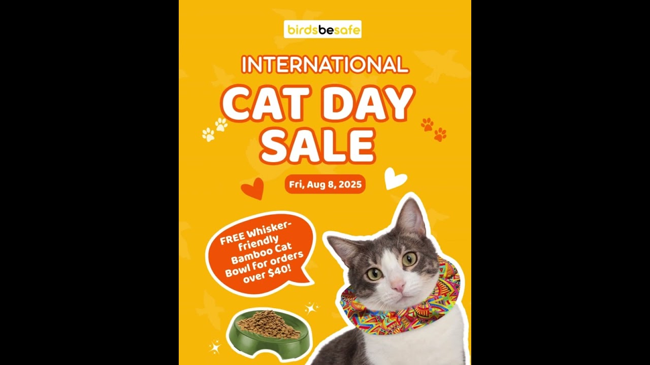 Here's a treat you might like!