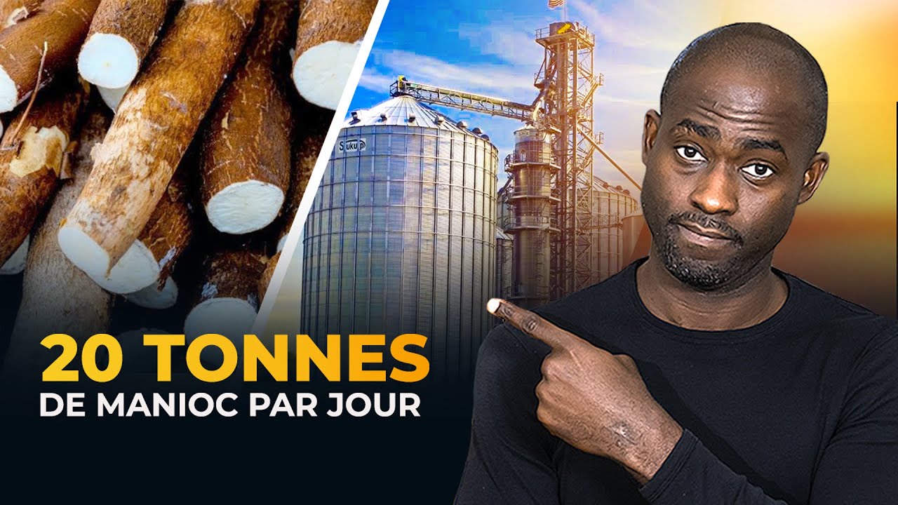 Bertin Tchoffo : Notre usine transforme 20 tonnes de manioc par jour
