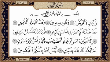 سورة التين  بصوت الشيخ حسن صالح 095