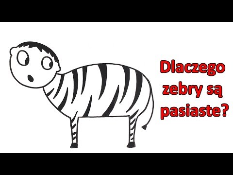 Wideo: Dlaczego Paski Zebry? Nowe Badanie Oferuje Dziwne Wyjaśnienie