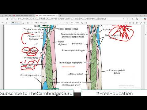 Snell Anatomy |