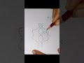 "kolam Designs Tutorial | Easy Step-by-Step Guide for Beginners"