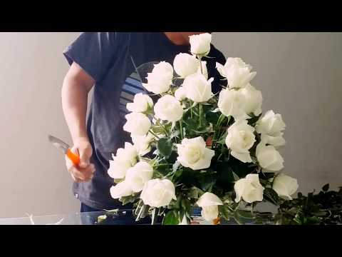 Vídeo: Como você usa Moss em um arranjo floral?