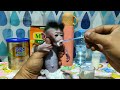 Newborn Baby Monkey Chiki's first Time Lunch Baby Porridge Chicken Carrot Sup