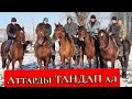 МЕНМИН деген РЕЗВЫЙ АТТАР 🔥 ЖЫЛАНДЫНЫН 😱МЫКТЫ АТТАРЫ САТЫЛАТ 🐎БЕШ АТ