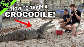 Chandler's Wild Life | VLOG - YouTube