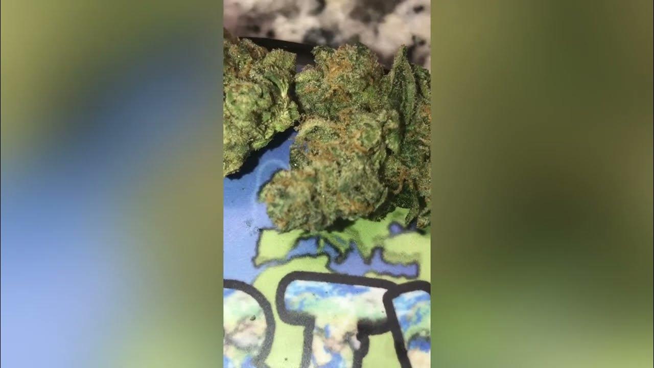 Truffle Butter Strain Review ( Smk Brk 420 ) YouTube