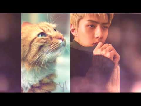 EXO Sehun Birthday