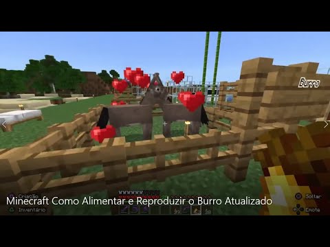 EU SÓ QUERIA ADOTAR UM BURRO NO MINECRAFT #MINECRAFT