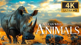 Afica Wild Animals 4K 🐾 Discovery Relaxation Film With Soothing Relaxing Piano Music