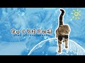 ちゃくろまるの唄 (Music Video)