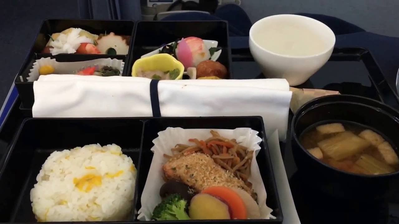 ANA All Nippon Airways Business Class Boeing 787-8 Dreamliner from