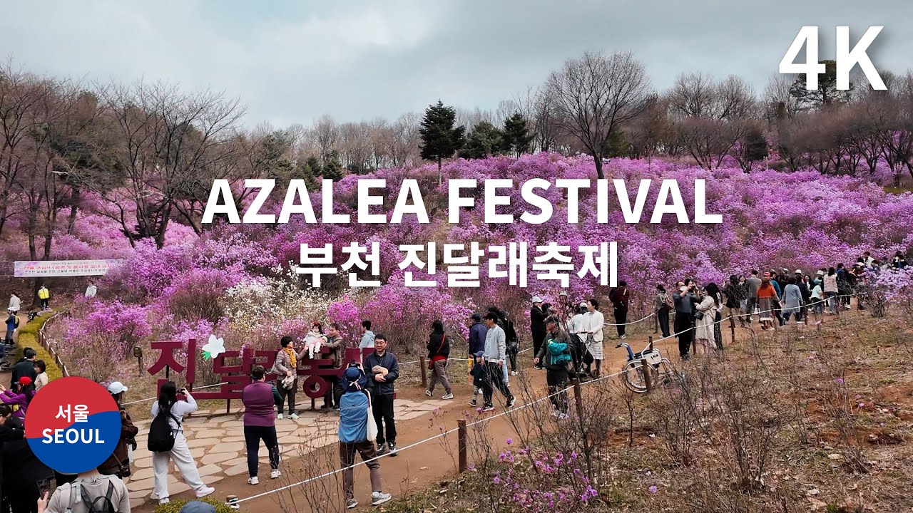 2024 Bucheon Wonmisan Azalea Festival Walk YouTube 2024-bucheon-wonmisan-azalea-festival-walk-youtube