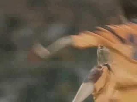 Champions 1992 - Final - Barcelona vs. Sampdoria