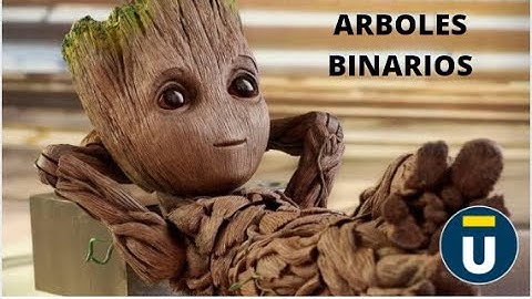 Arboles Binarios - Estructura de datos II