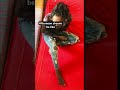 Afternoon dreams be like 😂 #comedyshorts #funny #comedy #williamlast_krm #funnydreams