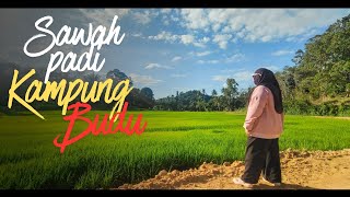 Mini Vlog #02 DI KAMPUNG BUDU TENGOK SAWAH PADI DAN PASAR MALAM DONG .