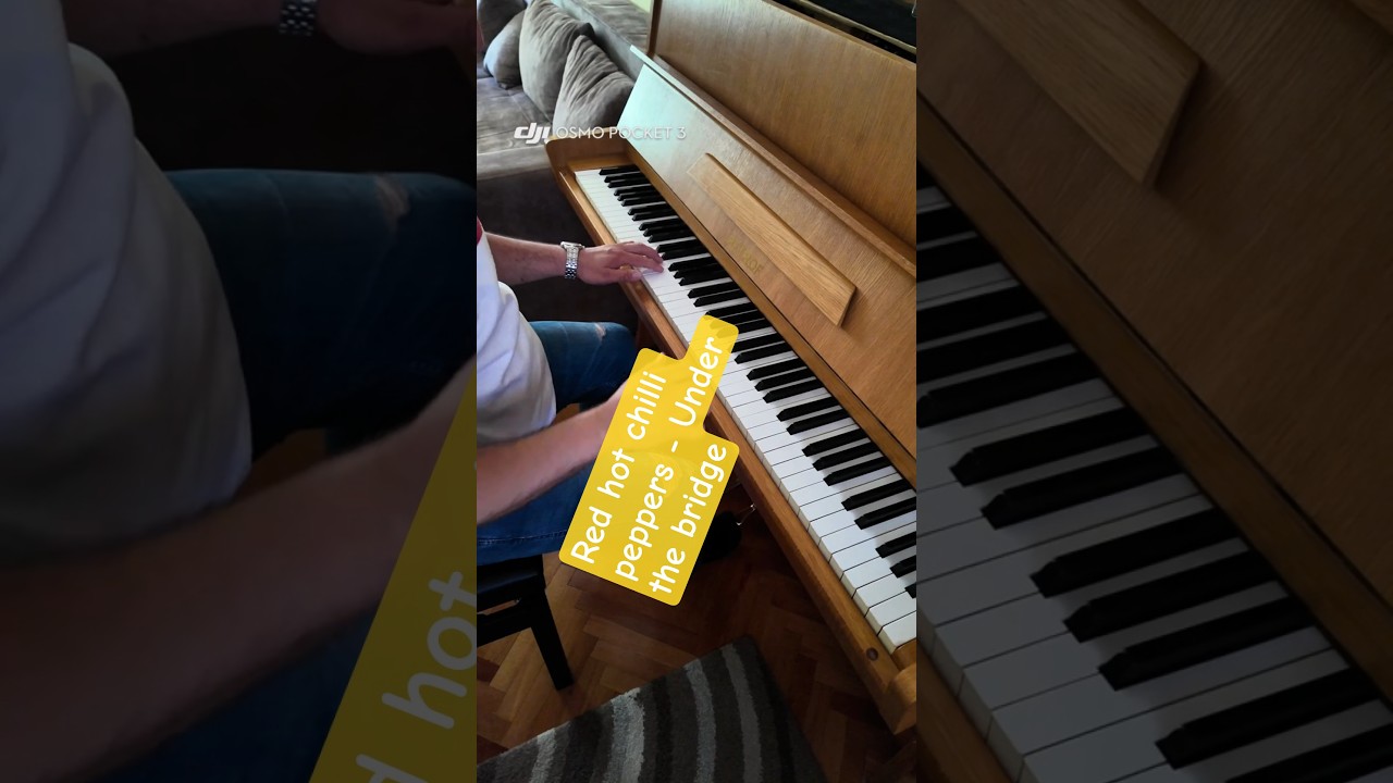 Under the Bridge - #shortmusic #piano #shortsmusic #pianomusic #pianocover #cover #covers #shorts