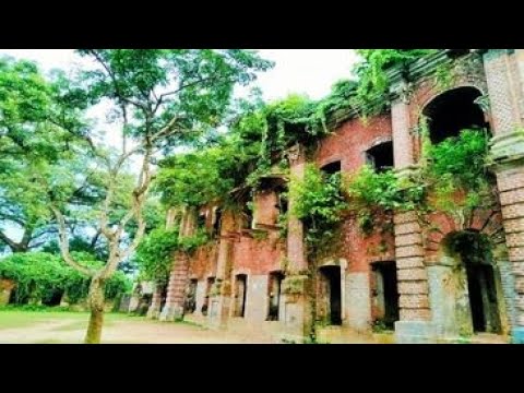 রাজা টংকনাথের রাজবাড়ি || ঠাকুরগাঁও #shorts