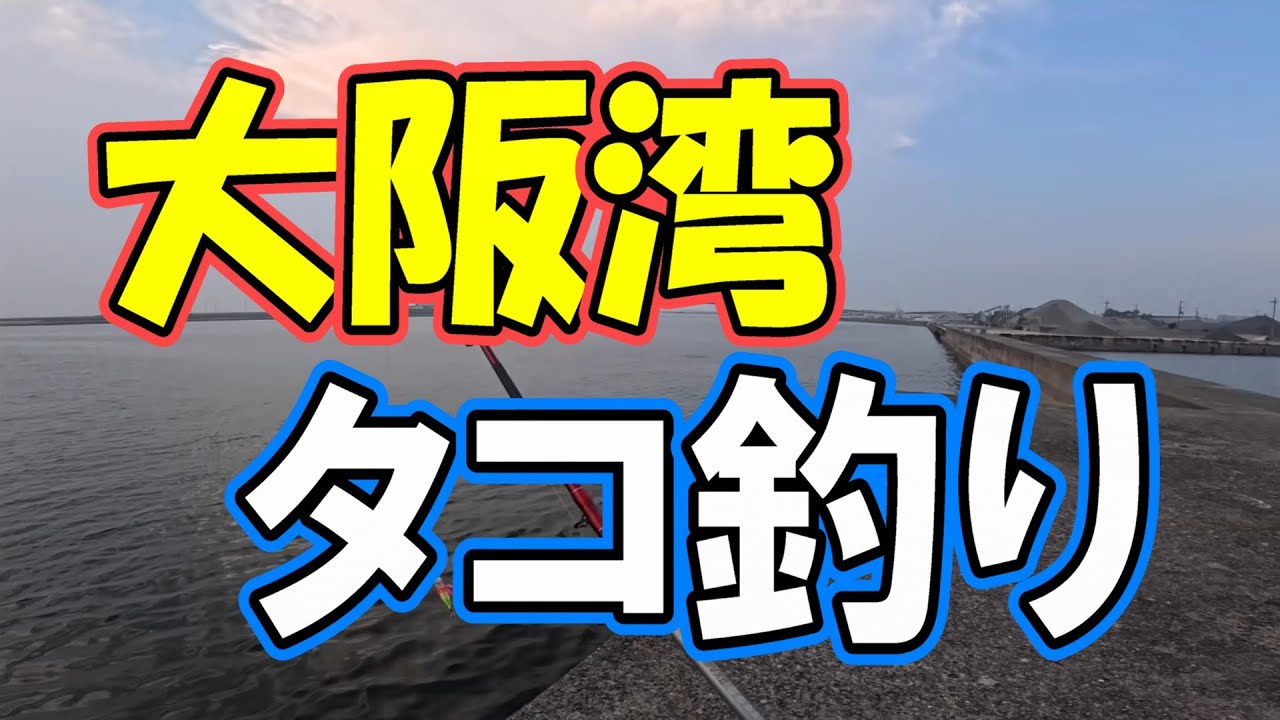 Octopus fishing in Osaka Bay] This is how you catch an octopus