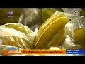 เกษตรสร้างชาติ : มะเฟือง (สตาร์ฟรุต) ผลไม้สุขภาพ ทำรายได้ดี