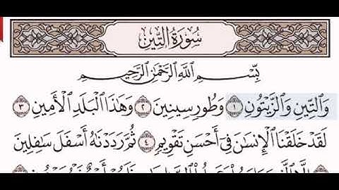 سورة التين//لفضيلة الشيخ علي الحذيفي