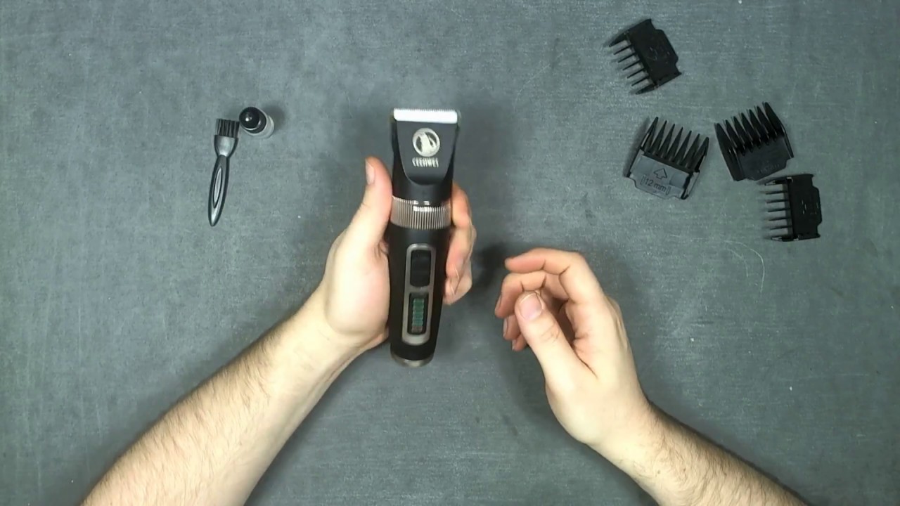 ceenwes pet clippers