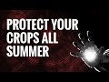 How to nourish and protect your crops all summer  3 life lesson in life by jim rohn