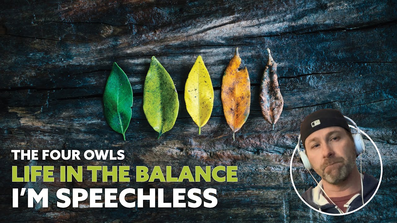 No one else out here doing this - First time hearing The Four Owls - Life in the Balance (Reaction)