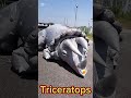 Dinosaur shooting game event production / Triceratops Inflatable / 恐竜シューティング トリケラトプス #Dinosaur