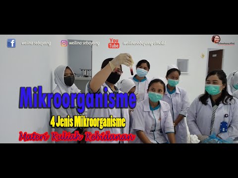 MENGENAL KUMAN || 4 JENIS MIKROORGANISME || KULIAH KEBIDANAN