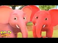    ek mota hathi hindi nursery rhyme for kids