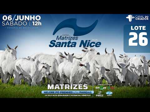 LOTE 26   GRI C4587