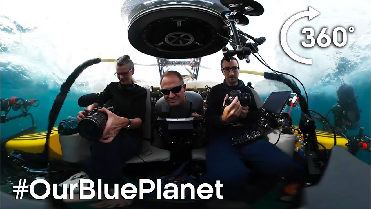 Journey 1000m Below The Waves In 360° #OurBluePlanet | BBC Earth