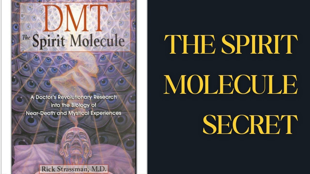 DMT: Unlocking the Spirit Molecule | Dr. Rick Strassman's Groundbreaking Research Explained