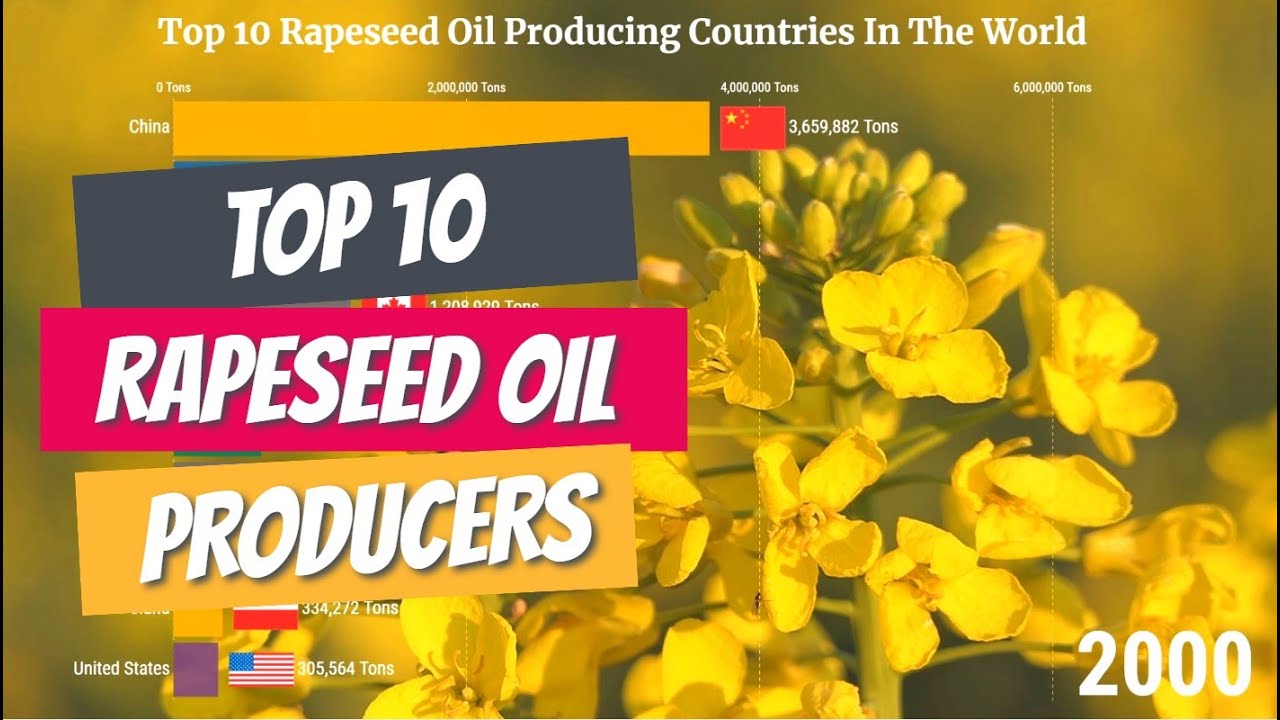 Top Rapeseed Oil Top Rapeseed Oil Producing Countries in the World (1961 - 2019) - YouTube