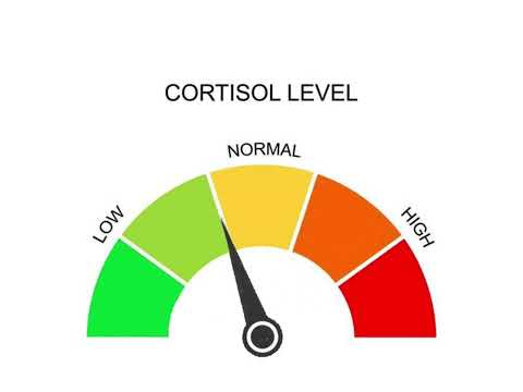 Free Use Cortisol Level Meme Animation|| By Dinda Nezha Gacha-!💜