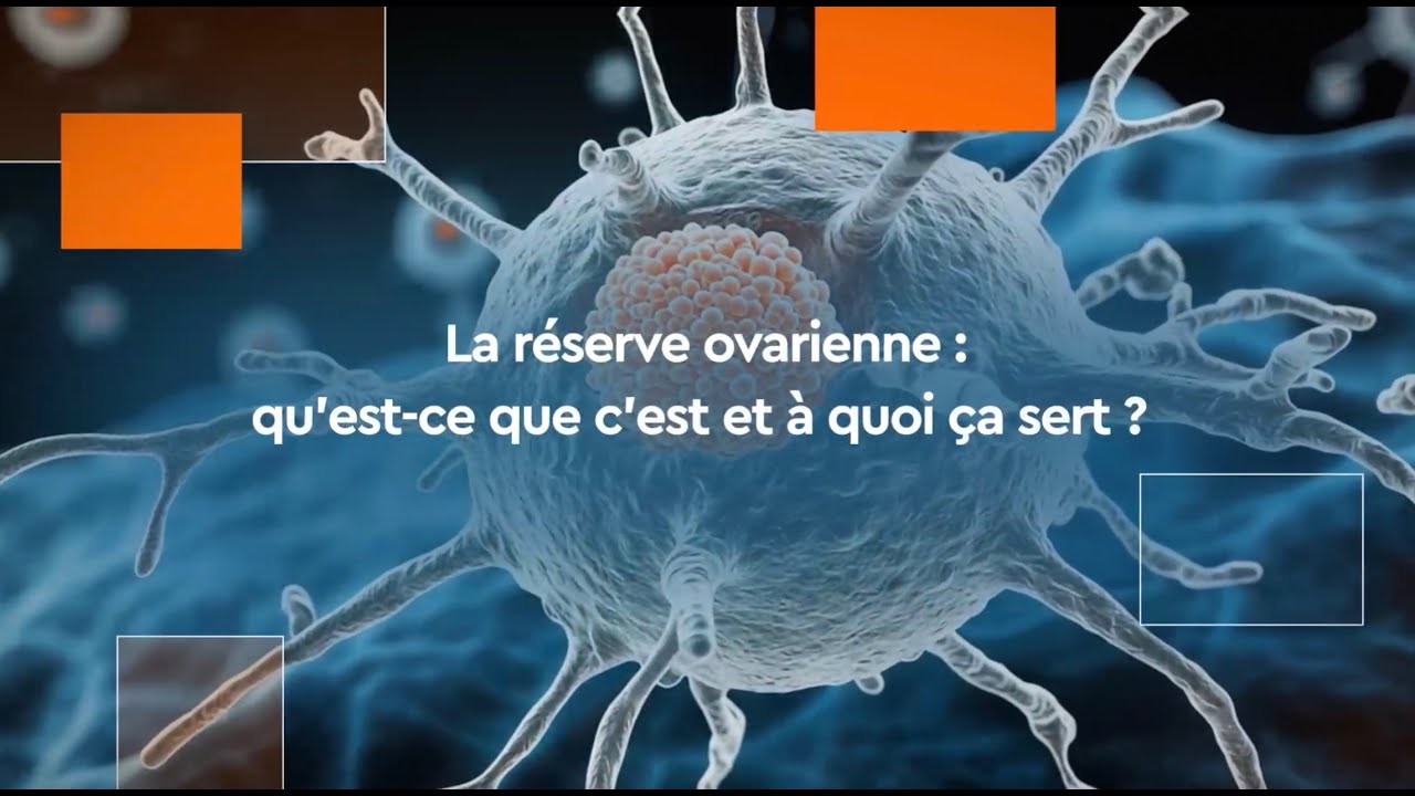 La réserve ovarienne : qu'est ce que c'est et à quoi ça sert. ?
