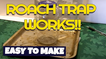 How to make a $1 Roach trap and end your bug problems for good!